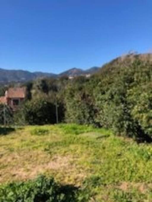 Villa En Corse Du Sud Entre Mer Et Montagne Peri Buitenkant foto